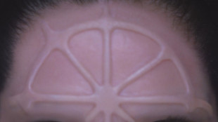 Gaia, rosa dei venti &egrave; il titolo del nuovo album