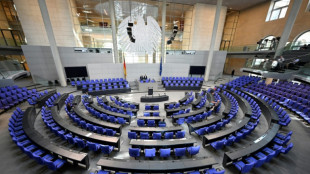 AfD scheitert in Karlsruhe mit Eilantrag auf vorl&auml;ufige Ausschusschefs in Bundestag
