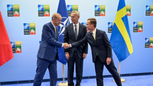 Erdogan ber&auml;t mit Schwedens Regierungschef &uuml;ber Nato-Beitritt