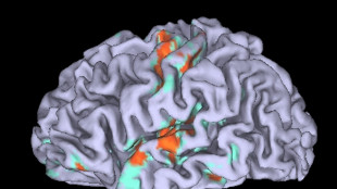 Il cervello traccia tante mappe diverse dei possibili futuri