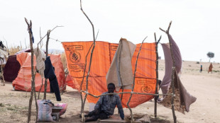 El Consejo de Derechos Humanos de la ONU ordena investigar los abusos en El Fasher, Sud&aacute;n