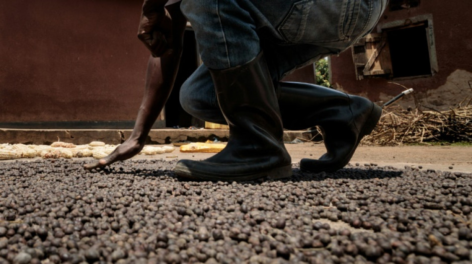 Ouganda: une mouche au secours des agriculteurs touch&eacute;s par la hausse des prix des engrais