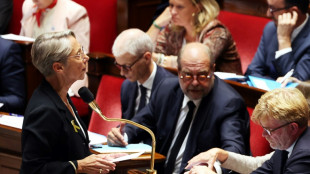 Programmation des finances publiques: vers le premier 49.3 de la saison &agrave; l'Assembl&eacute;e