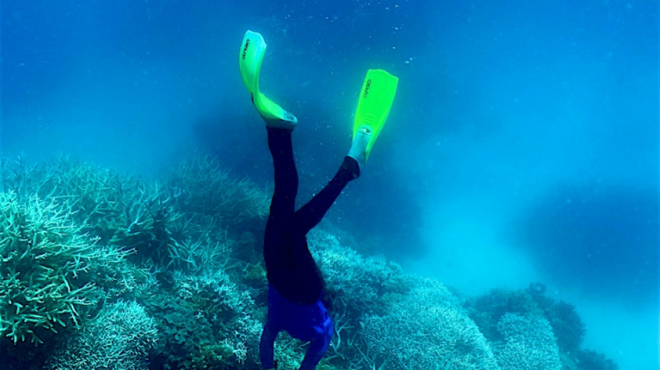 World's coral reefs crossing survival limit: global experts