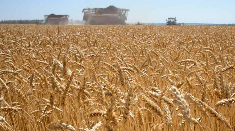 Gr&uuml;ne: Landwirtschaftsminister d&uuml;rfen Umweltschutz nicht au&szlig;er Acht lassen