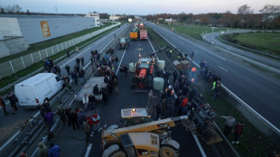Dermatose: la col&egrave;re des agriculteurs ne retombe pas, la vaccination s'&eacute;largit