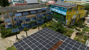A Porto Rico, un réseau local d'énergie solaire contre les pannes incessantes