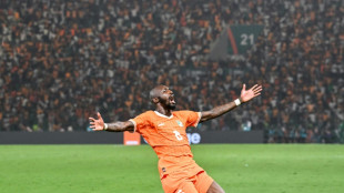 CAN: Seko Fofana a conquis la C&ocirc;te d'Ivoire