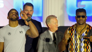Boxe: Apr&egrave;s Fury, Ngannou face au d&eacute;fi Joshua