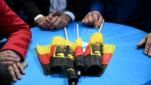 Ausz&auml;hlung bei deutscher EU-Wahl beendet: Union siegt im Westen, AfD im Osten