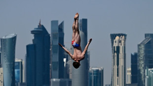 Mondiaux de natation: le Fran&ccedil;ais Gary Hunt m&eacute;daill&eacute; d'argent au plongeon de haut vol