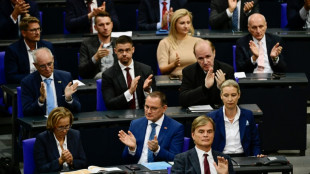 Karlsruhe: AfD hat kein automatisches Recht auf Vorsitz von Bundestagsaussch&uuml;ssen