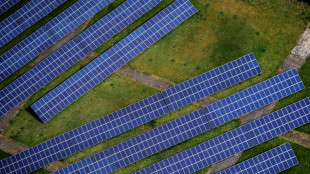 Sonniges Wetter f&uuml;hrt zu neuem Solarstrom-Rekord im M&auml;rz