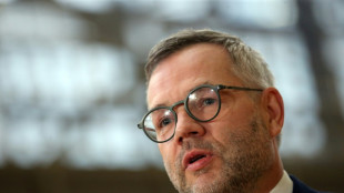 Roth: Islamistisch regiertes Syrien "existenzielle Gefahr" auch f&uuml;r Europa