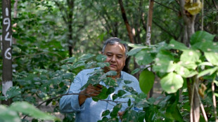 Inde: "Peepal Baba" plante des arbres "pour offrir une seconde chance &agrave; la plan&egrave;te"