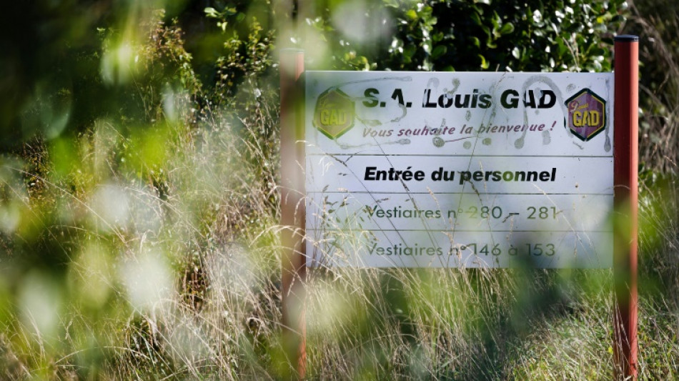 Les "illettr&eacute;s" de Gad peinent encore &agrave; dig&eacute;rer leur licenciement