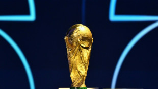 FIFA announces $60 World Cup tickets for 'loyal fans'
