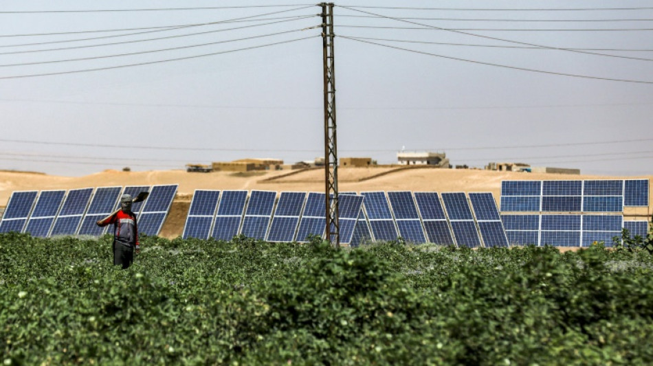 Dans l'ancien grenier &agrave; bl&eacute; de la Syrie, le solaire a sauv&eacute; les agriculteurs