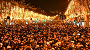 R&eacute;veillon: 380 interpellations, 745 v&eacute;hicules br&ucirc;l&eacute;s