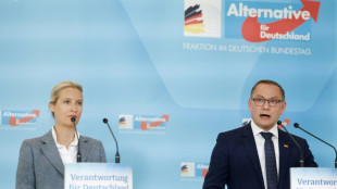 Spionagevorwurf gegen Mitarbeiter: AfD-Spitze k&uuml;ndigt Gespr&auml;ch mit Krah an