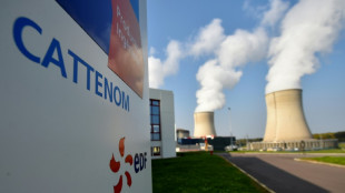 A EDF, une course cruciale dans les r&eacute;acteurs pour r&eacute;soudre le probl&egrave;me de corrosion