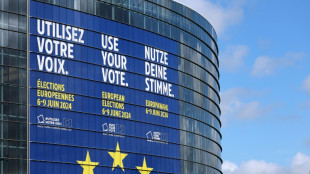 Studie: Union hat verst&auml;ndlichstes EU-Wahlprogramm - BSW unverst&auml;ndlichstes