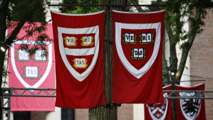 Giudice sospende blocco studenti stranieri ad Harvard