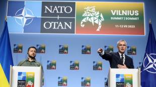 Pour Zelensky, les promesses d'aide ne peuvent remplacer une adh&eacute;sion &agrave; l'Otan