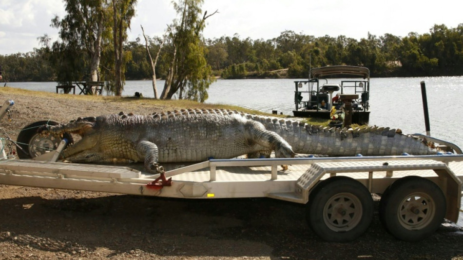Rio habitado por crocodilos receber&aacute; remo e canoagem nos Jogos de Brisbane-2032