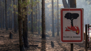 Poblaciones confinadas y más de 2.300 hectáreas quemadas por un incendio en España