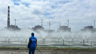 UN observers urge access to Ukraine nuclear plant 