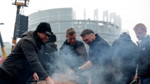 La Euroc&aacute;mara remite a la justicia europea el acuerdo con el Mercosur