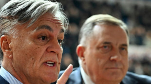 Vorgezogene Pr&auml;sidentenwahl in der serbischen Teilrepublik in Bosnien