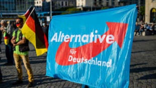 Korruptionsvorw&uuml;rfe in AfD Niedersachsen: Landeschef erringt juristischen Sieg