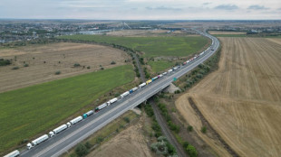 Le port roumain de Constanta, goulot d'&eacute;tranglement des c&eacute;r&eacute;ales ukrainiennes