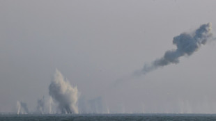 La Cor&eacute;e du Nord teste un nouveau missile anti-a&eacute;rien et accueille un haut responsable russe