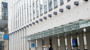 OPEC+ likely to maintain current output levels