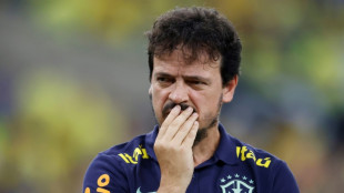 Foot: le s&eacute;lectionneur de l'&eacute;quipe nationale du Br&eacute;sil Fernando Diniz est limog&eacute;