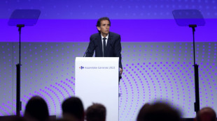 Carburants: Carrefour "ne vendra pas &agrave; perte", annonce son PDG &agrave; l'Assembl&eacute;e nationale