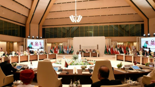 Les dirigeants de pays arabes et musulmans condamnent Isra&euml;l, divergent sur une r&eacute;ponse