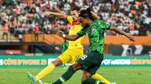 CAN: le Nigeria ma&icirc;trise l'Angola (1-0) et acc&egrave;de au dernier carr&eacute;
