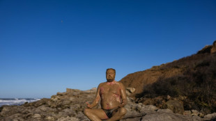 St&egrave;ve "le Phoque" r&eacute;ussit son d&eacute;fi de nager dans l'Antarctique, &agrave; 1&deg;