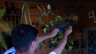 Brasil aprueba la primera vacuna de dosis &uacute;nica contra el dengue