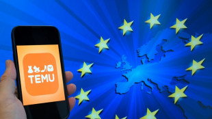 EU beschuldigt Billig-Onlinehändler Temu des Verkaufs "illegaler" Produkte
