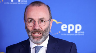 Weber: EU soll Ergebnis russischer Pr&auml;sidentschaftswahl nicht anerkennen