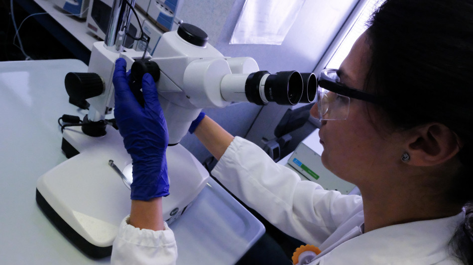 Ottenuto il primo batterio zombie, vive con il Dna di un'altra specie