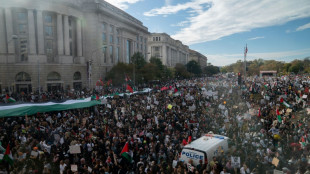 Des milliers de manifestants &agrave; Washington pour demander un "cessez-le-feu" &agrave; Gaza