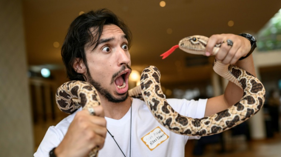 Estudio brasile&ntilde;o que pisotea serpientes y urinarios antifugas ganan los "anti-Nobel" de 2026