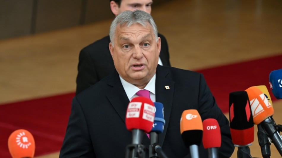 Ungarns Regierungschef: "Wer Migration unterst&uuml;tzt, unterst&uuml;tzt Terrorismus"