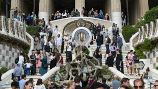 L'Espagne a accueilli un nombre record de touristes &eacute;trangers en 2024